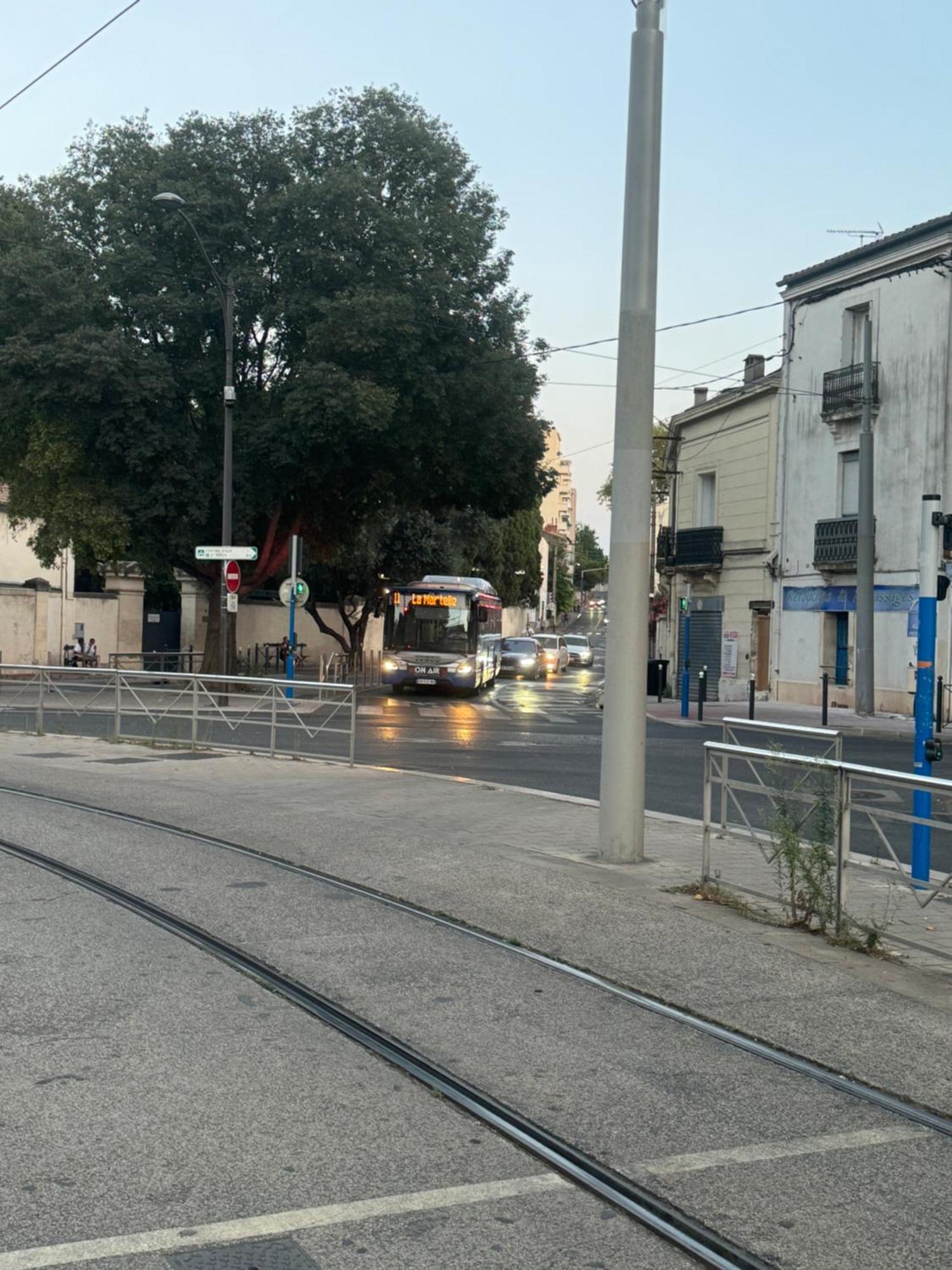 Paradis Calme En Plein Centre Ville مونبيلييه المظهر الخارجي الصورة