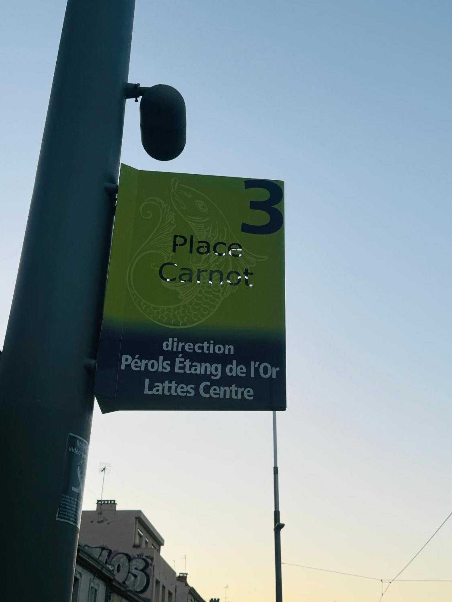Paradis Calme En Plein Centre Ville مونبيلييه المظهر الخارجي الصورة